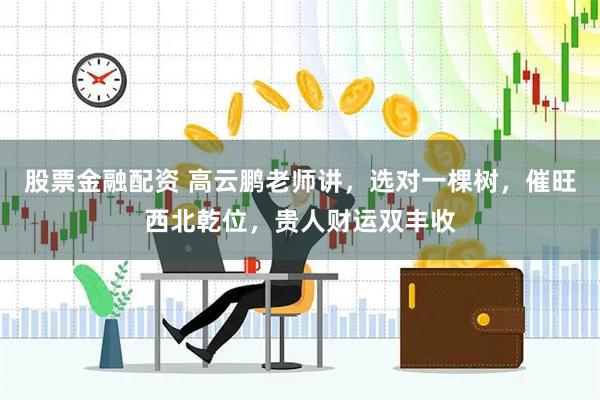 股票金融配资 高云鹏老师讲，选对一棵树，催旺西北乾位，贵人财运双丰收
